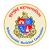 BMC Inspector logo